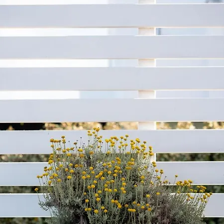 Holiday home Salamina