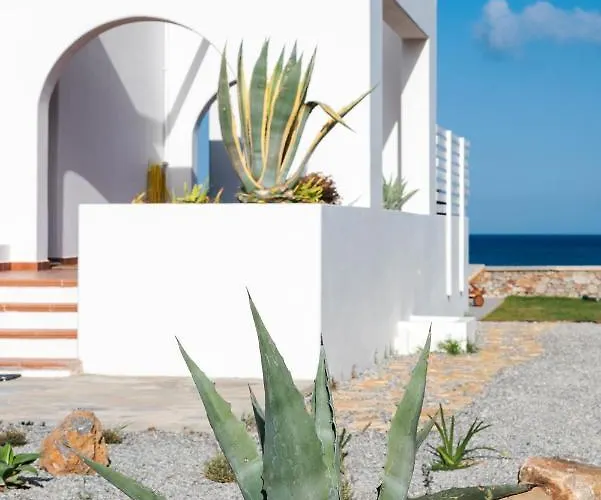 Salamina 라카니아